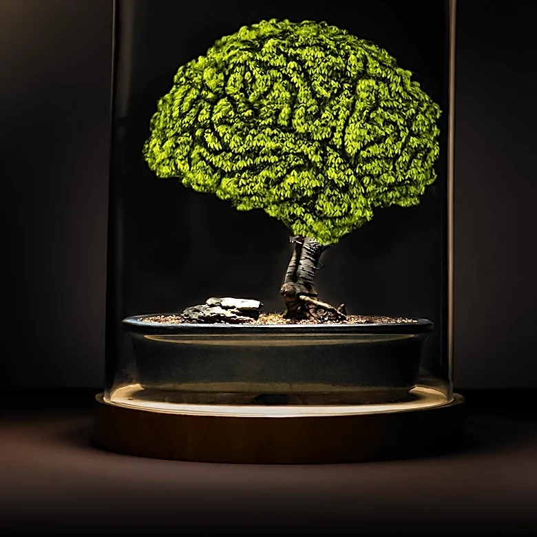 Dr. Hazel Wiley's Alzheimer's Treatment Shows Promise in Clearing Brain Plaques
