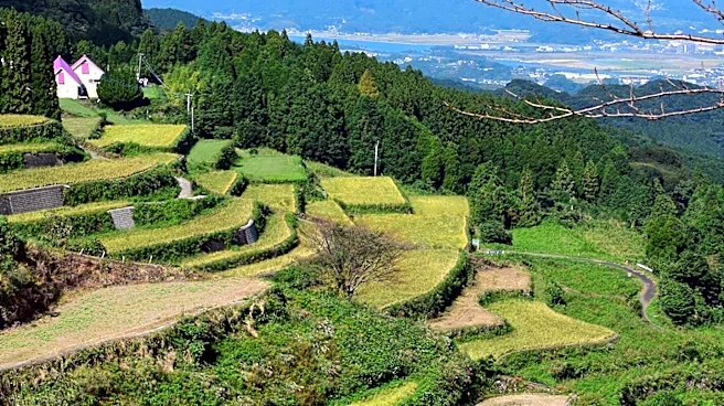 Japan and Vietnam Expand Decarbonization Efforts to Agriculture and Carbon Credits