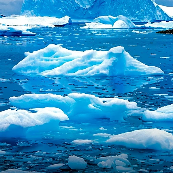 Melting Antarctic Ice Releases Mercury, Threatening Marine Ecosystems