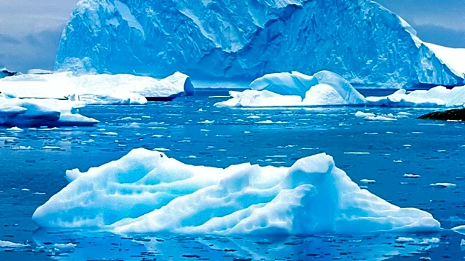 Melting Antarctic Ice Releases Mercury, Threatening Marine Ecosystems