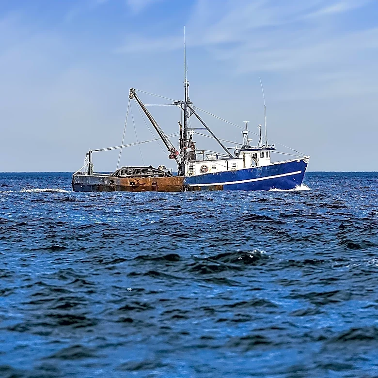 ASMFC Considers Changes to Chesapeake Bay Menhaden Catch Cap