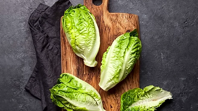 U.S. Faces Dual Food Outbreaks Linked to Lettuce and Jalapeños