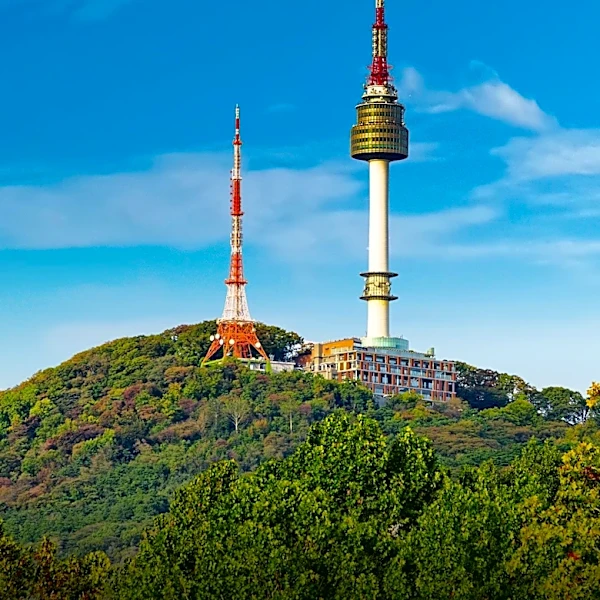 South Korea's Reforestation Success: From Barren Hills to Lush Forests