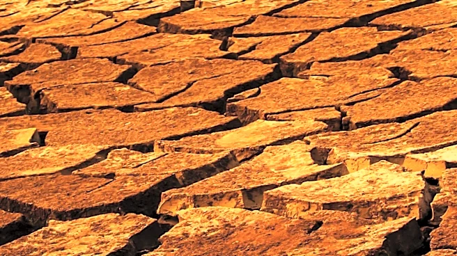 Bermuda's Climate Change Taskforce Inactive Since Last Election, Plans for Re-establishment