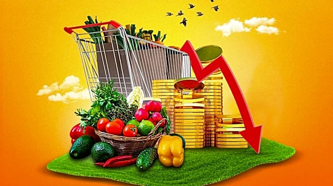 Conservative Commentators and Politicians Clash Over Rising Grocery Prices