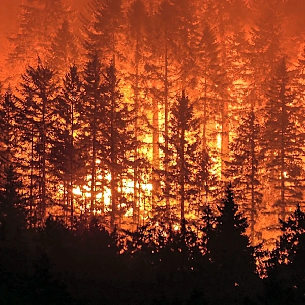 Montana and Idaho Wildfires Cause Widespread Smoke, Affecting Air Quality
