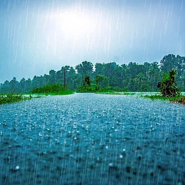 North Carolina Faces Heavy Rain and Thunderstorm Risks Amid Hot Weather