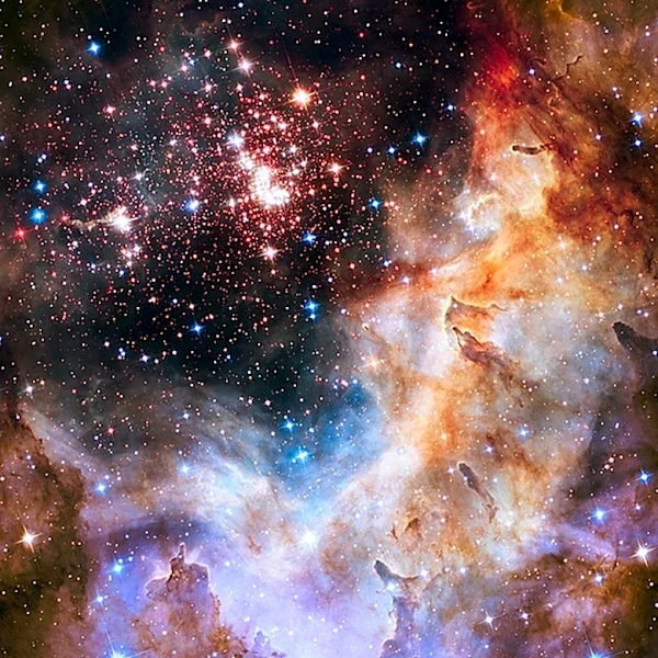 James Webb Space Telescope Reveals Young Star Cluster in Carina Nebula