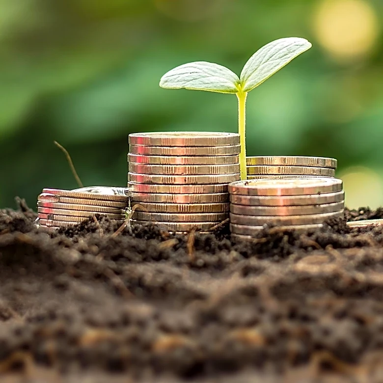 IFAD Seeks Saudi Investment to Expand Sustainable Bond Program for Food Security