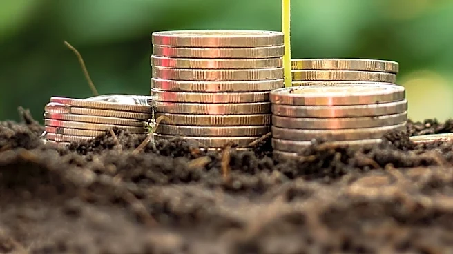 IFAD Seeks Saudi Investment to Expand Sustainable Bond Program for Food Security