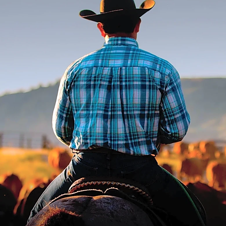 Three Rivers College Advocates Push for Rodeo Program Reinstatement Amid Community Support