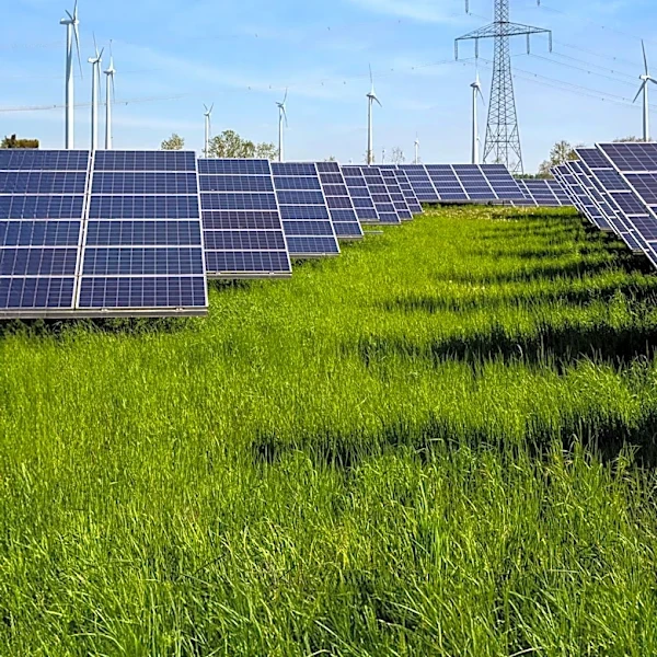 California's Green Energy Transition Faces Challenges Amid Power Outages