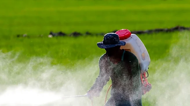 Italian Municipality Launches Major Mosquito Eradication Campaign Amid Chikungunya Concerns