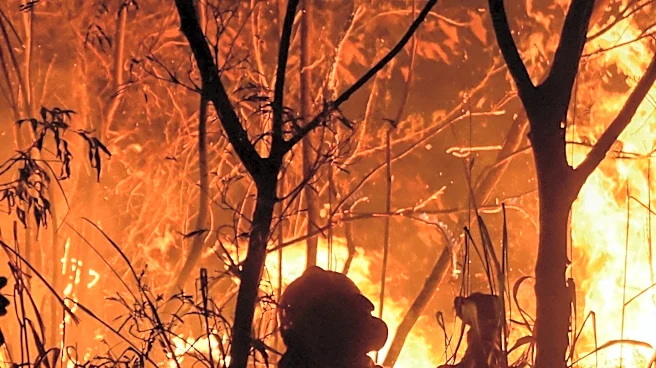 Fire Destroys Penngrove Home, Threatens Nearby Wildland
