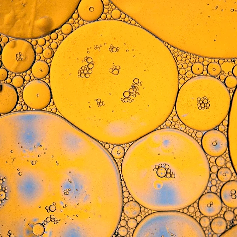 Single-Cell and Spatial Omics Reveal Liver's Role in Aging and Insulin Resistance