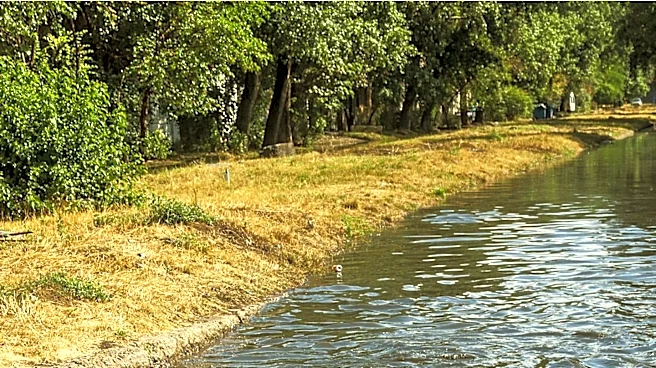 Bangladesh's Garment Industry Faces Criticism Over Severe River Pollution