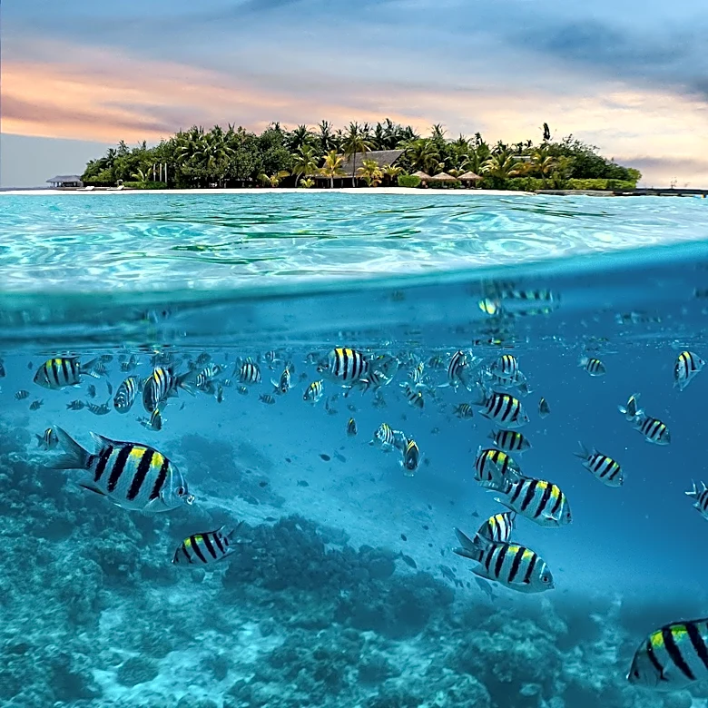 Fiji's Government and Businesses Collaborate to Combat Marine Pollution