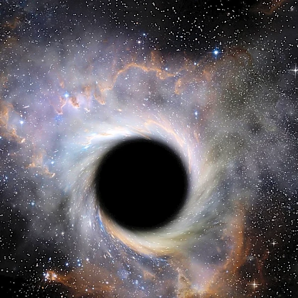 Ising Models Simulate Majorana Fermions in Black Hole Spacetime