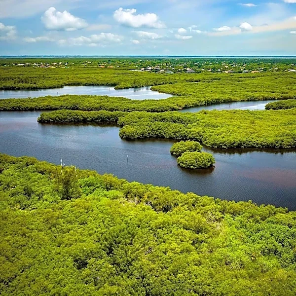 Everglades National Park: Unwritten Rules for a Safe Visit