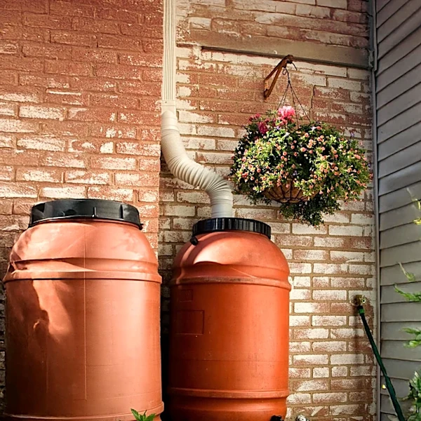 Texas A AgriLife Extension Hosts Rainwater Harvesting and Turf Management Training in Denton County