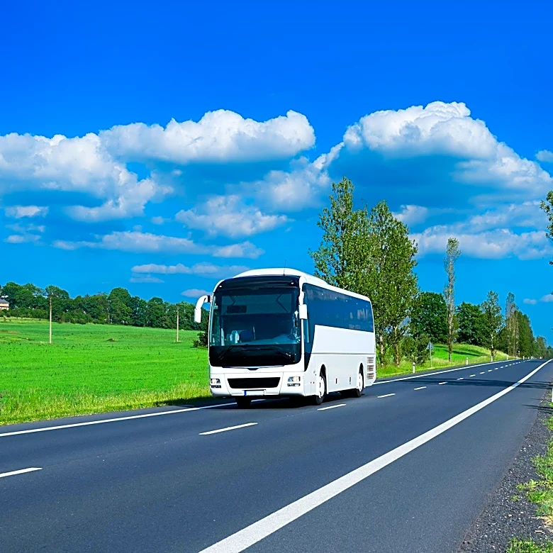 German Tourist Bus Accident in Norway Results in Multiple Injuries