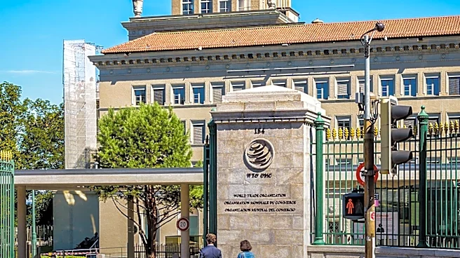 World Trade Organization Emphasizes Customs Role in Global Trade Efficiency