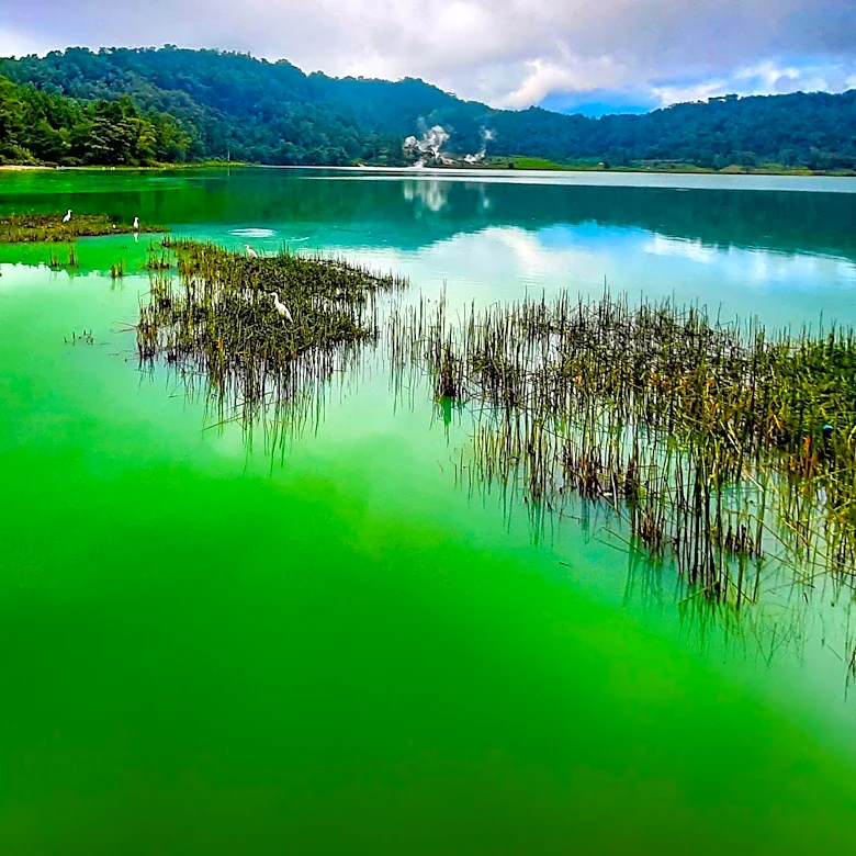 Health Officials Warn of Harmful Algal Blooms Affecting Canandaigua and Finger Lakes