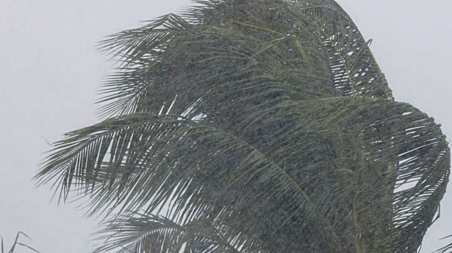 Central Florida Braces for Heavy Rain and Strong Winds