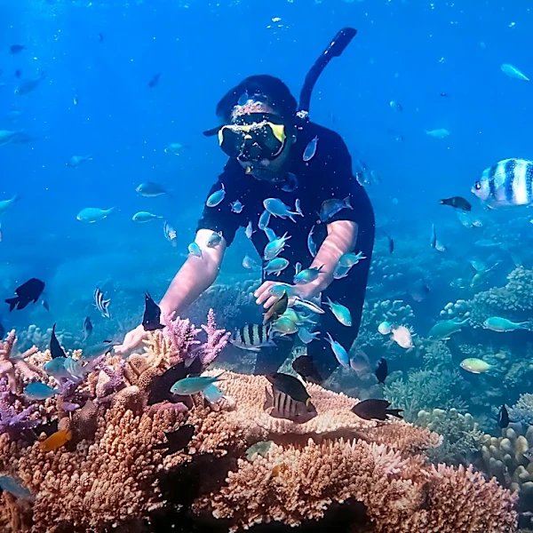 Con Dao National Park Implements Coral Restoration After Severe Bleaching Event