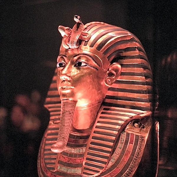 Archaeologists Discover Homer's Iliad Used as Embalming Material in 1,600-Year-Old Egyptian Mummy