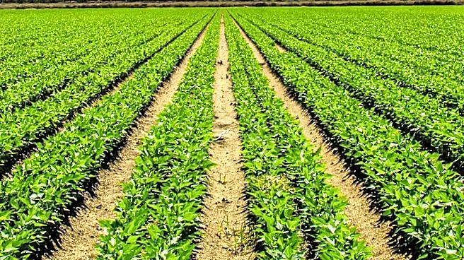 California Farmland Trust Secures 90th Conservation Project to Protect Agricultural Land