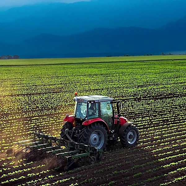 Abdullah Aysu Advocates for Democratic Cooperatives to Revitalize Turkish Agriculture