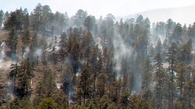 Brush Fire Near Hillsboro Waste Facility Burns 25 Acres