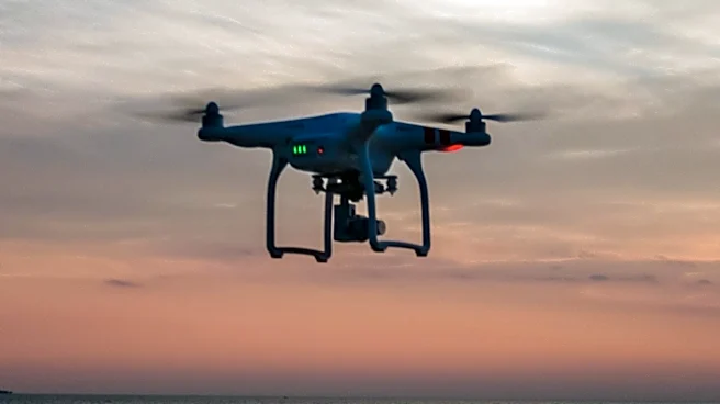 Bulgarian Defence Ministry Investigates Drone Incident Near Gas Pipeline