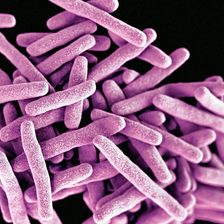 Drug-Resistant Fungus Candida Auris Spreads Across 23 U.S. States