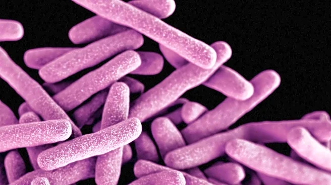 Drug-Resistant Fungus Candida Auris Spreads Across 23 U.S. States