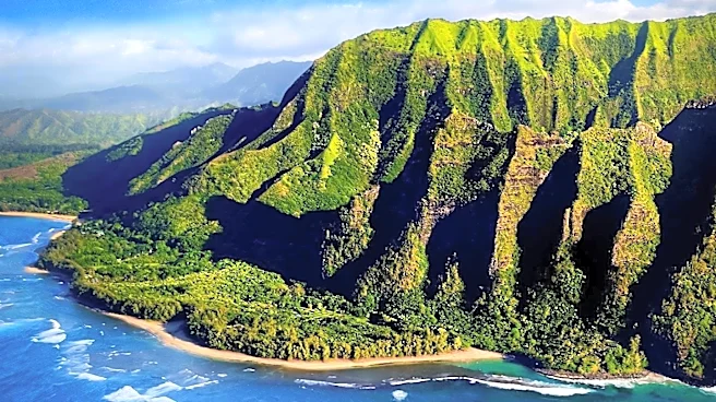 Hawaii's Wildfires Disaster Case Management Program Transitions to County Control