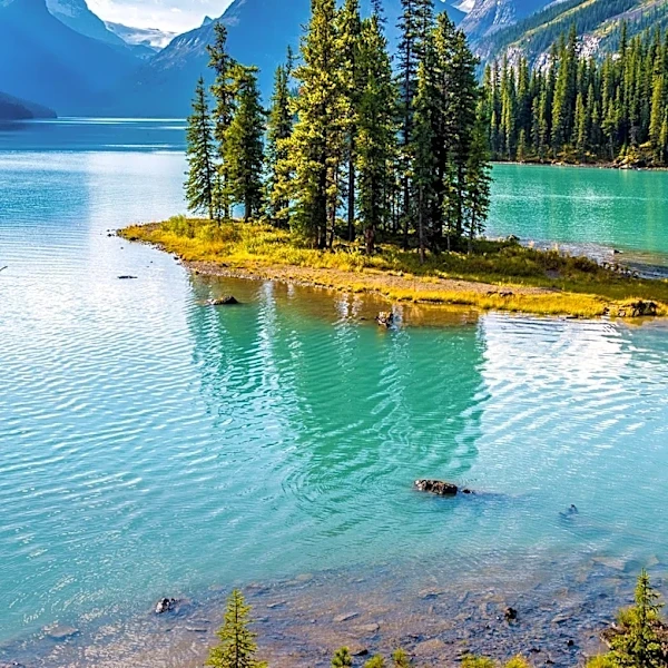 Jasper's Tourism Economy Faces Challenges and Recovery Post-Wildfire
