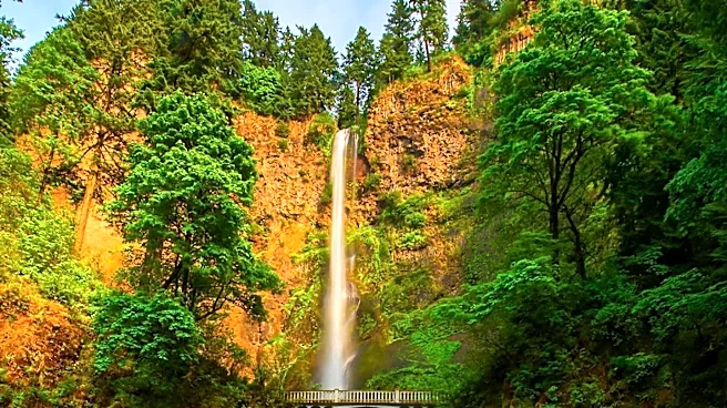Oregon Explores Alternative Transportation Funding Amid Budget Gap