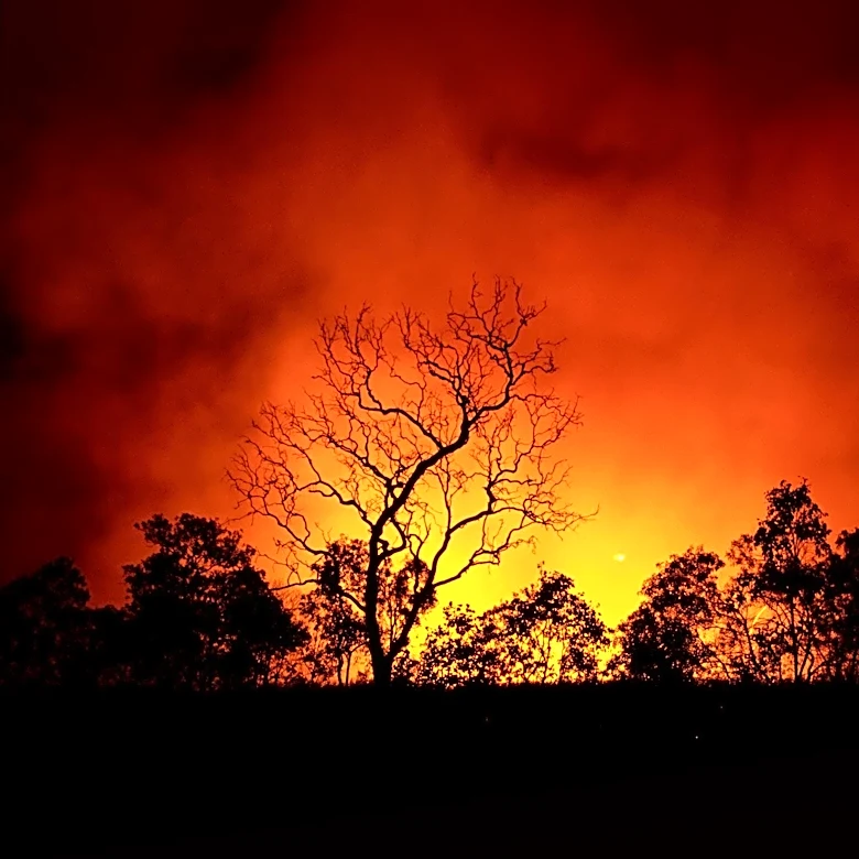 British Columbia Declares State of Emergency as Wildfire Forces 20,000 to Evacuate
