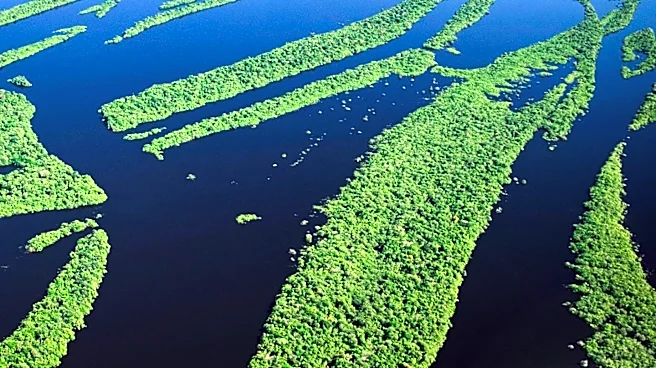 Deforestation in the Amazon Reaches Lowest Level in a Decade