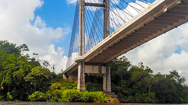 Challenges and Realities of Building a Bridge Over the Amazon River