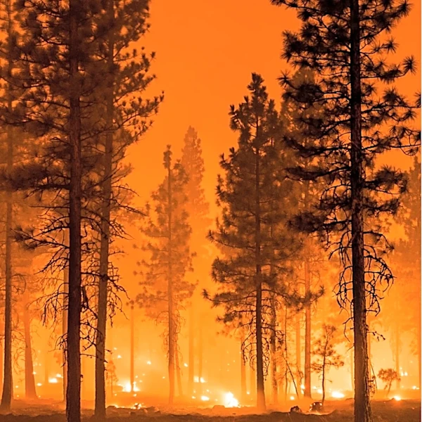 State of Emergency Declared in Canada as Wildfire Forces Mass Evacuations