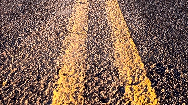 Hawai'i Police Advise Motorists to Avoid Kapuna Road Due to Downed Utility Lines