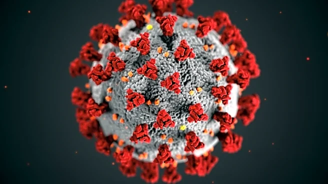 Harmonization of SARS-CoV-2 Data Enhances Understanding of Vaccine Impact on Immunocompromised Patients