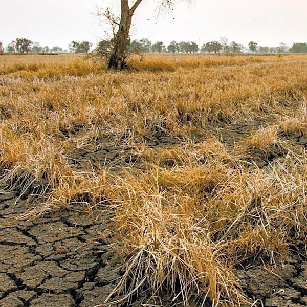 Heatwave Returns as Major Rainfall Remains Unlikely
