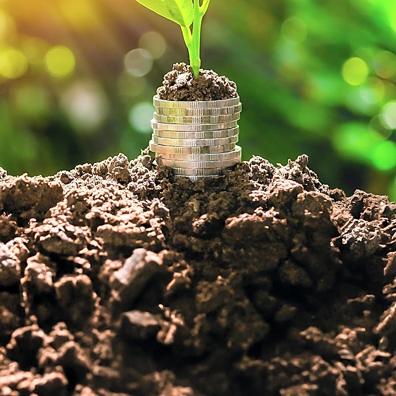 UNEP Seeks Project Management Officer for Sustainable Finance Initiative