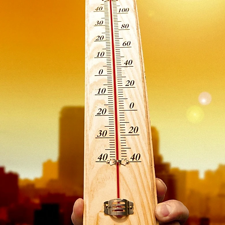 European Heatwaves Cause Sharp Increase in Global Food Prices