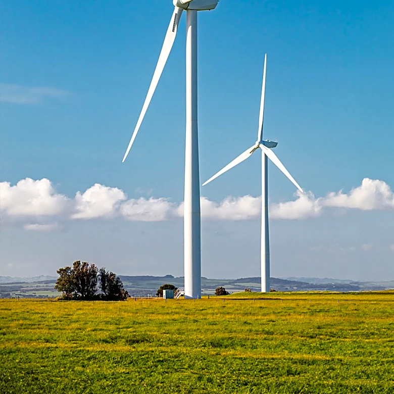 Marathon County Considers Negotiation with Alliant Energy Amid Wind Farm Controversy