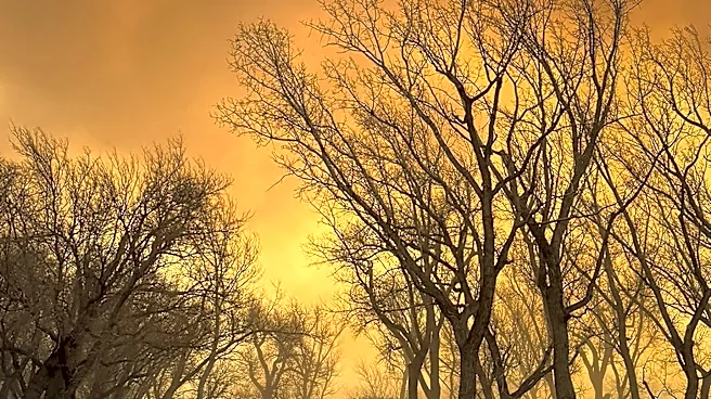 Minnesota Wildfires: Progress in Containment Efforts as Areas Reopen